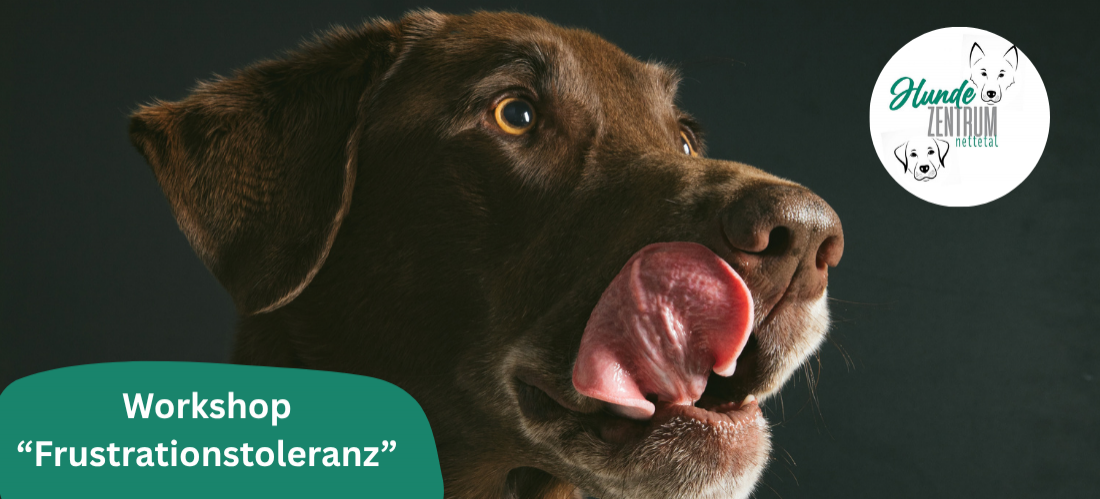 Praxisworkshop Frustrationstoleranz