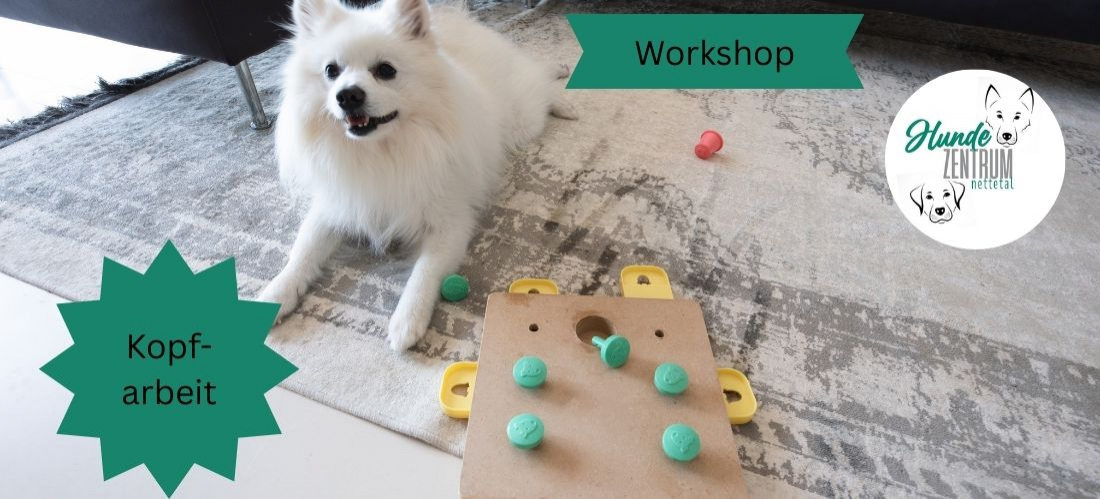 Praxisworkshop Kopfarbeit