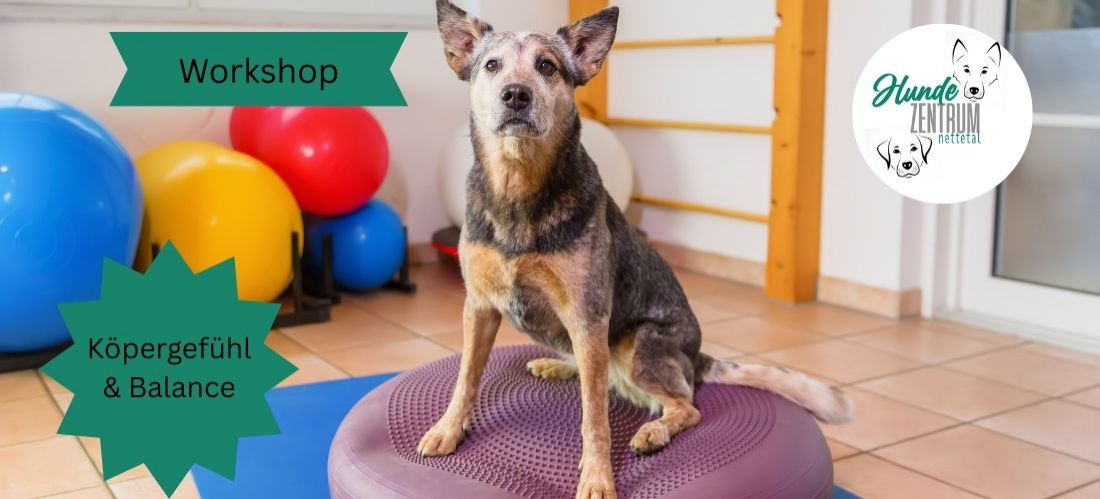 Praxisworkshop Körpergefühl & Balance