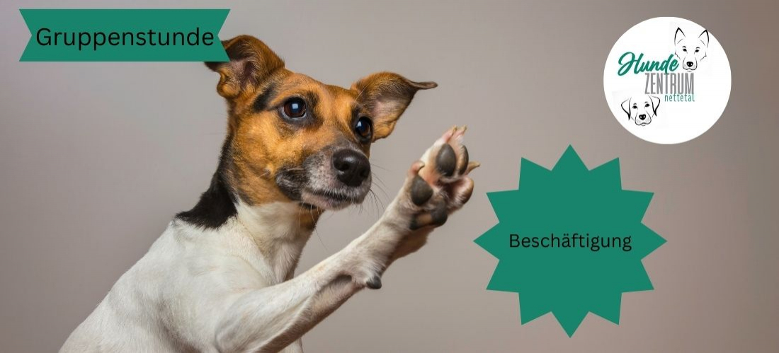 Gruppe Beschäftigung