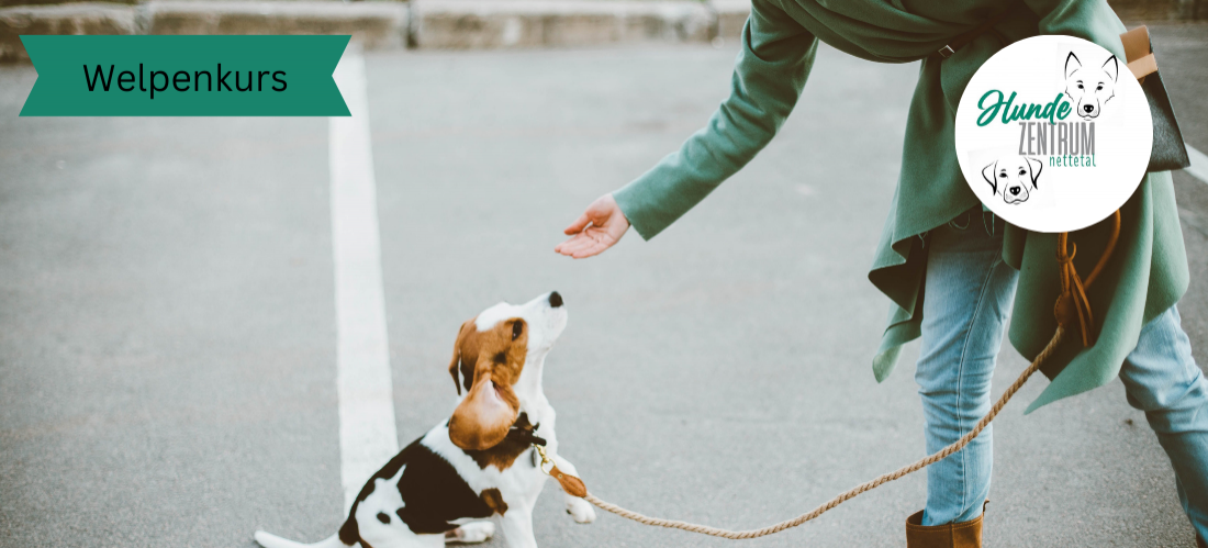 Kurs Welpenstart