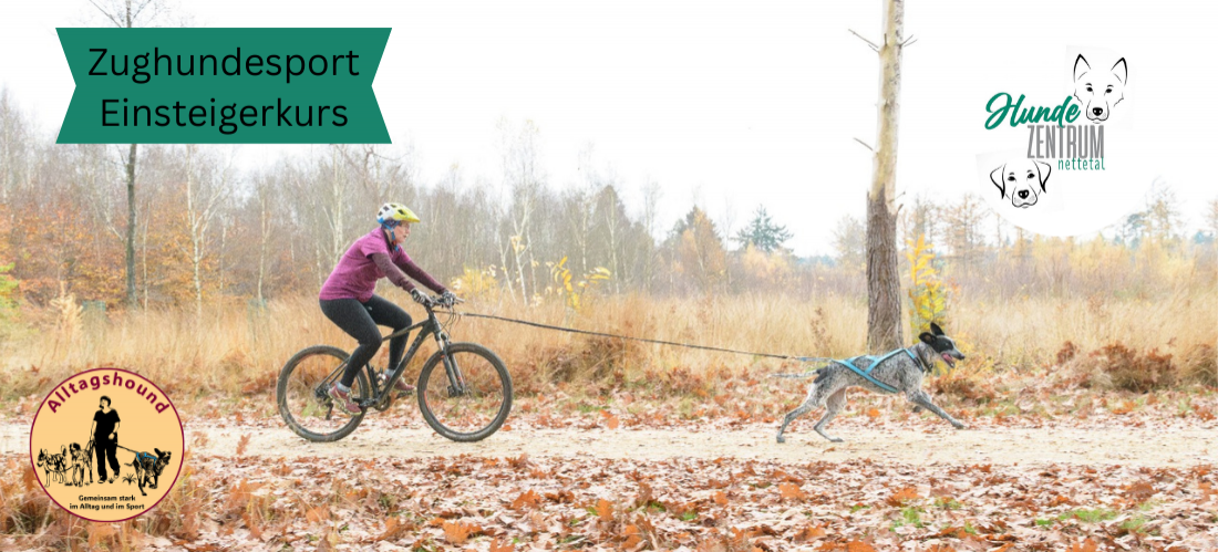 Kurs Zughunde Einsteigerkurs