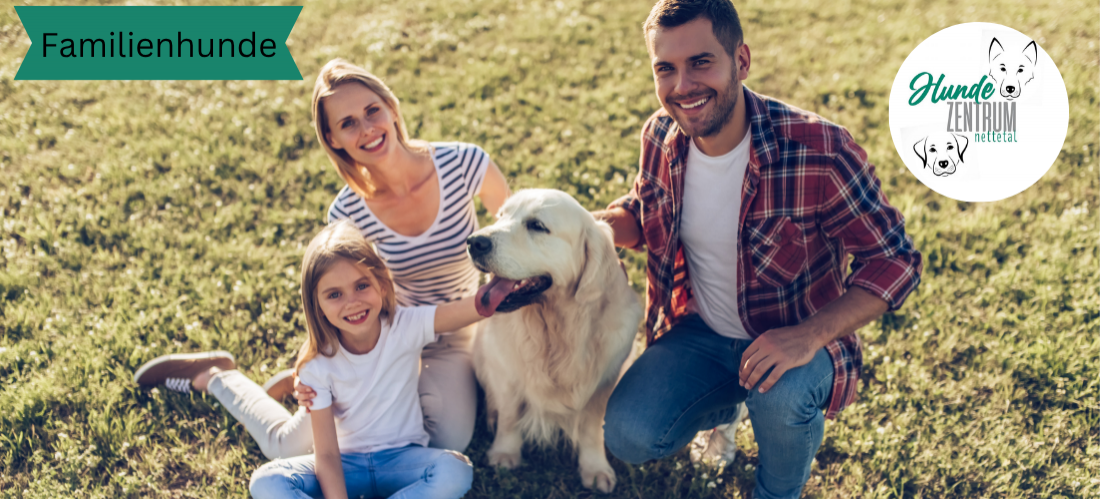 Kurs Familienhunde
