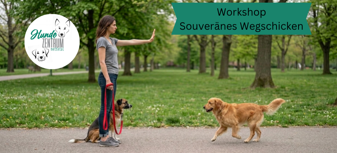 Workshop souveränes Wegschicken