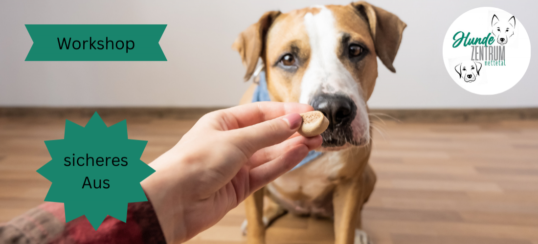 Praxisworkshop Sicheres Aus