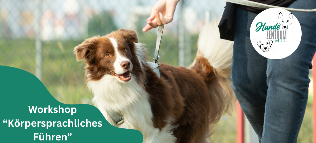 Workshop Körpersprache