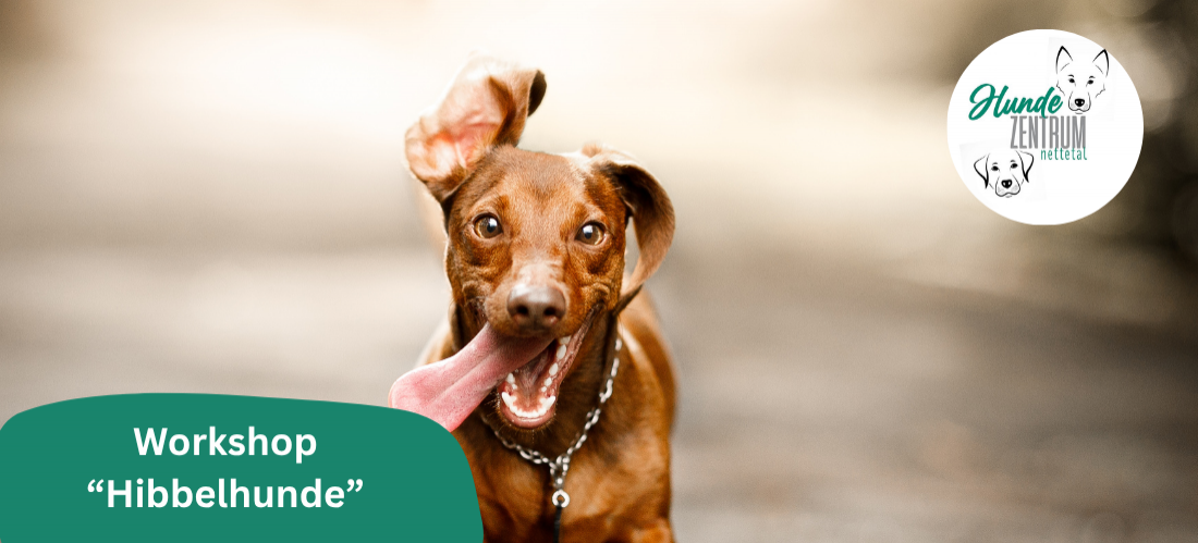 Praxisworkshop Hibbelhunde 